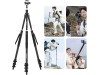 Ulanzi TT35 Hiking Stick Tripod Kit Ulanzi TT35 Hiking Stick Tripod Kit
